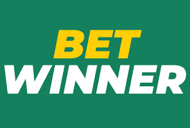 Experience Excitement with BetWinner Senegal Experience Excitement with BetWinner Senegal